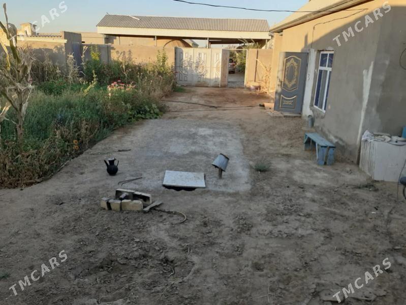 daca - Мары - img 7