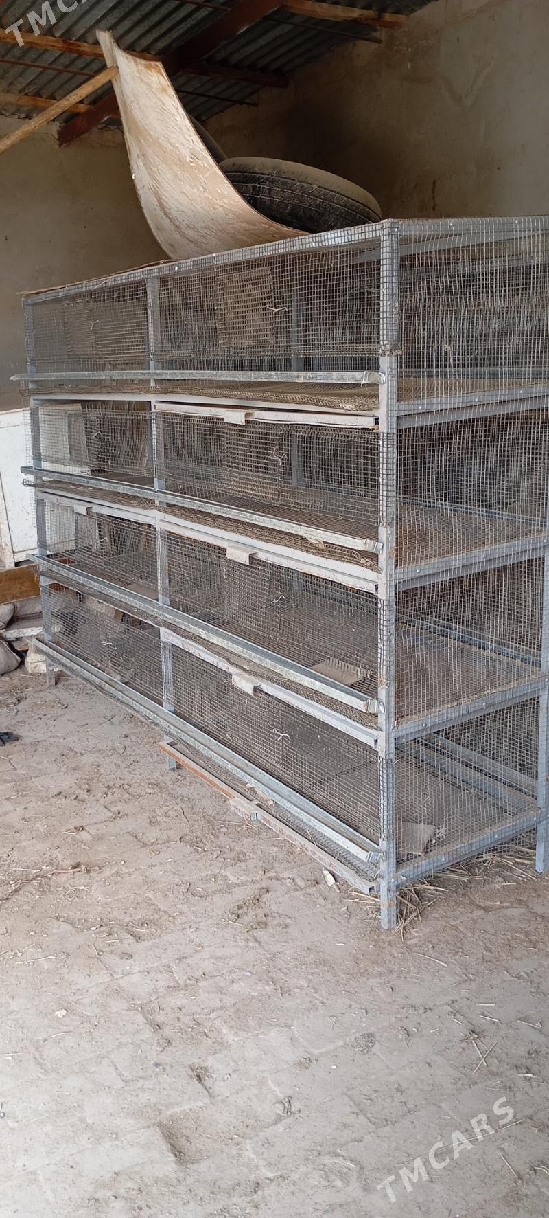 Bedene ýatak - Байрамали - img 3