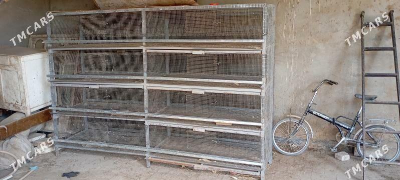 Bedene ýatak - Байрамали - img 2