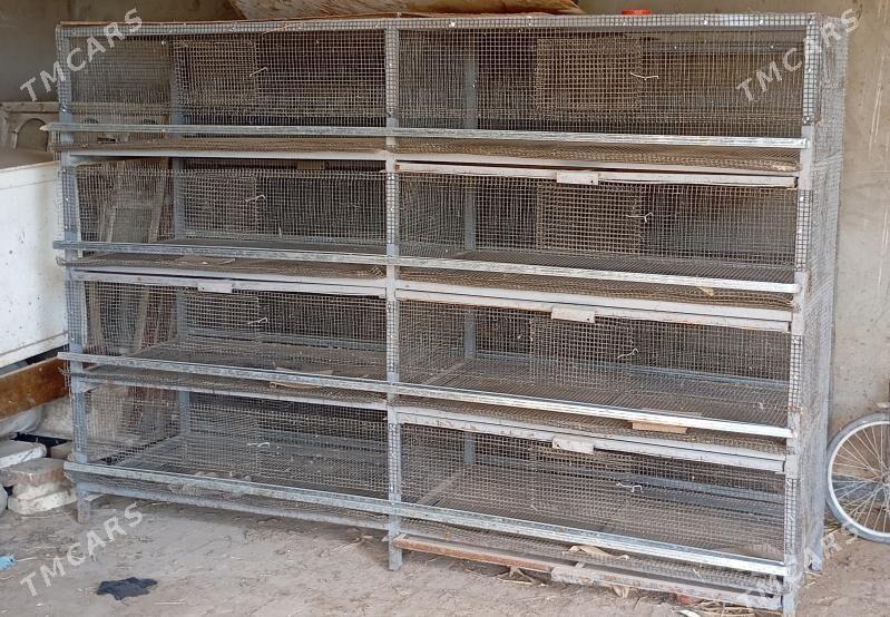 Bedene ýatak - Байрамали - img 1