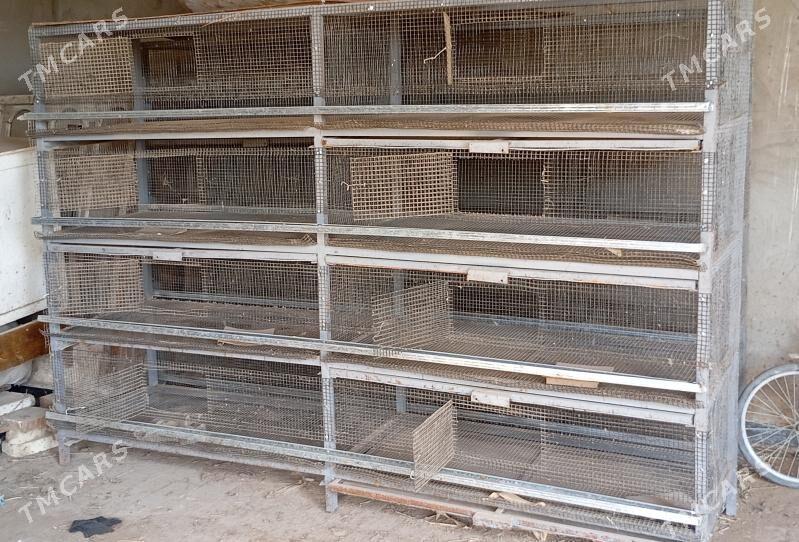 Bedene ýatak - Байрамали - img 4