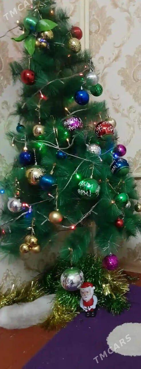 yolka  йолка - Daşoguz - img 2