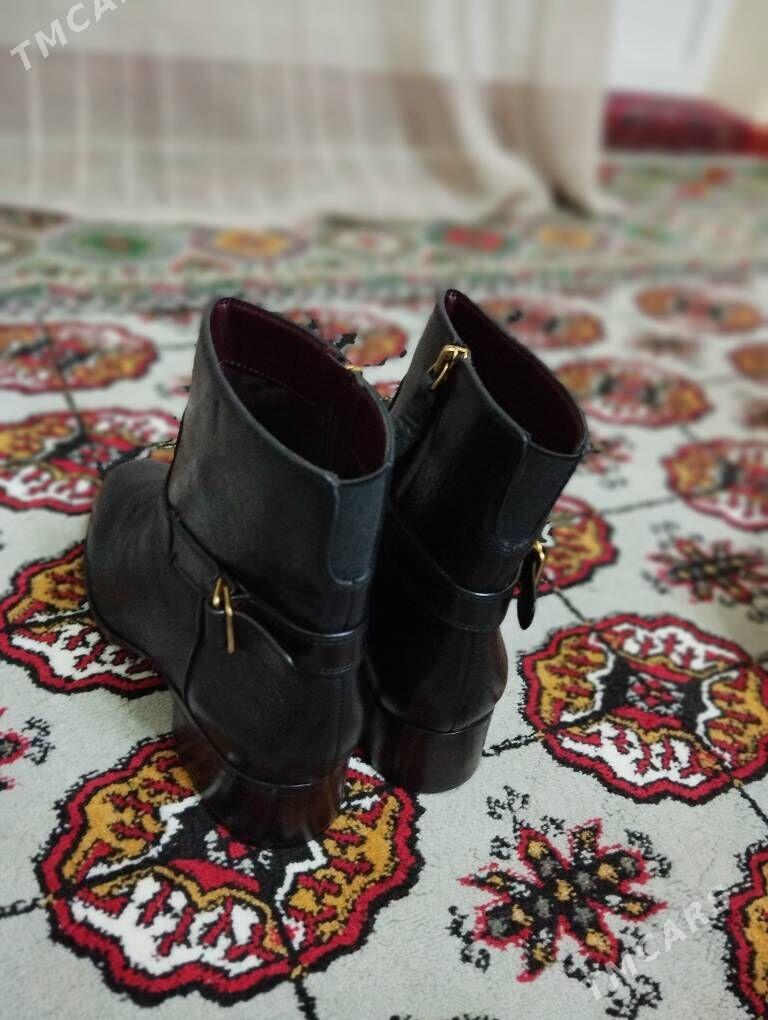 adik - Aşgabat - img 2