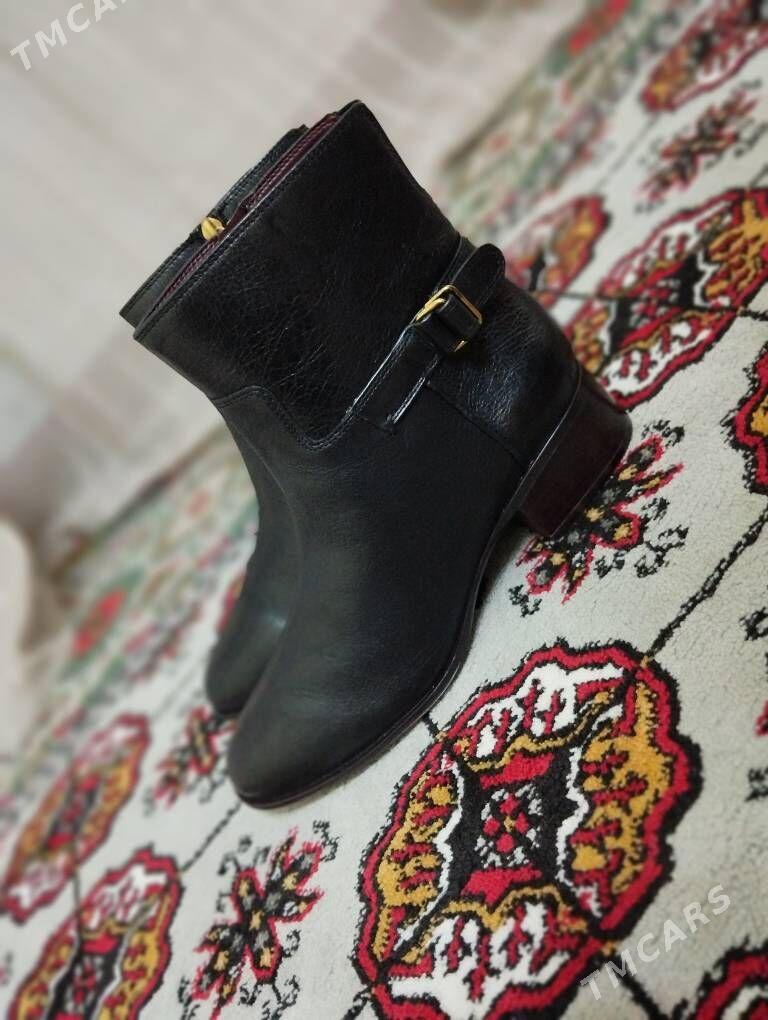 adik - Aşgabat - img 3