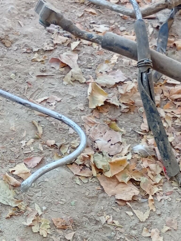 Kansener trupka. 200 TMT - Берекет - img 2