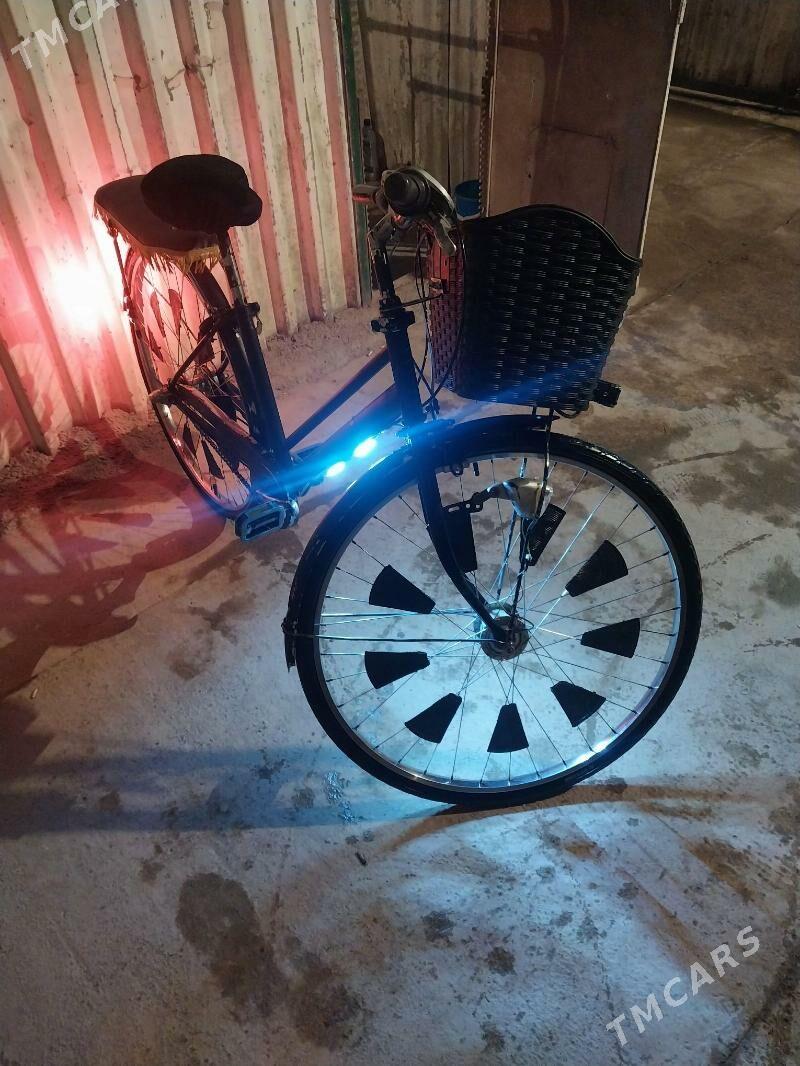 welik 27 - Mary - img 2