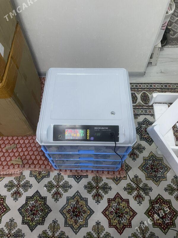 Inkubator - Ашхабад - img 3