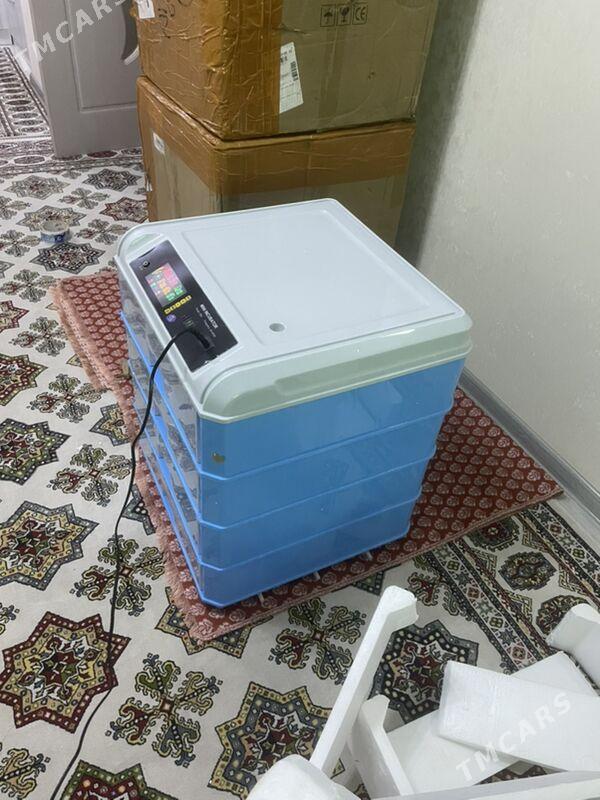 Inkubator - Ашхабад - img 4