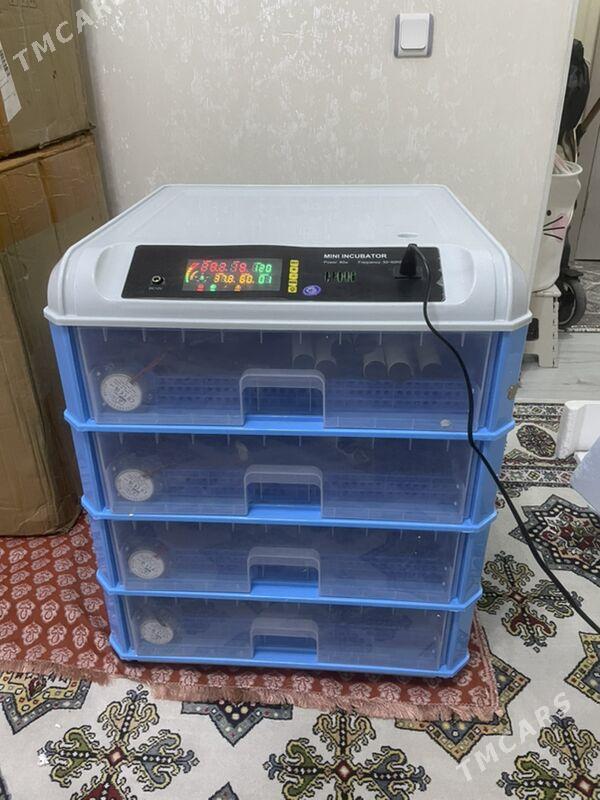 Inkubator - Ашхабад - img 2