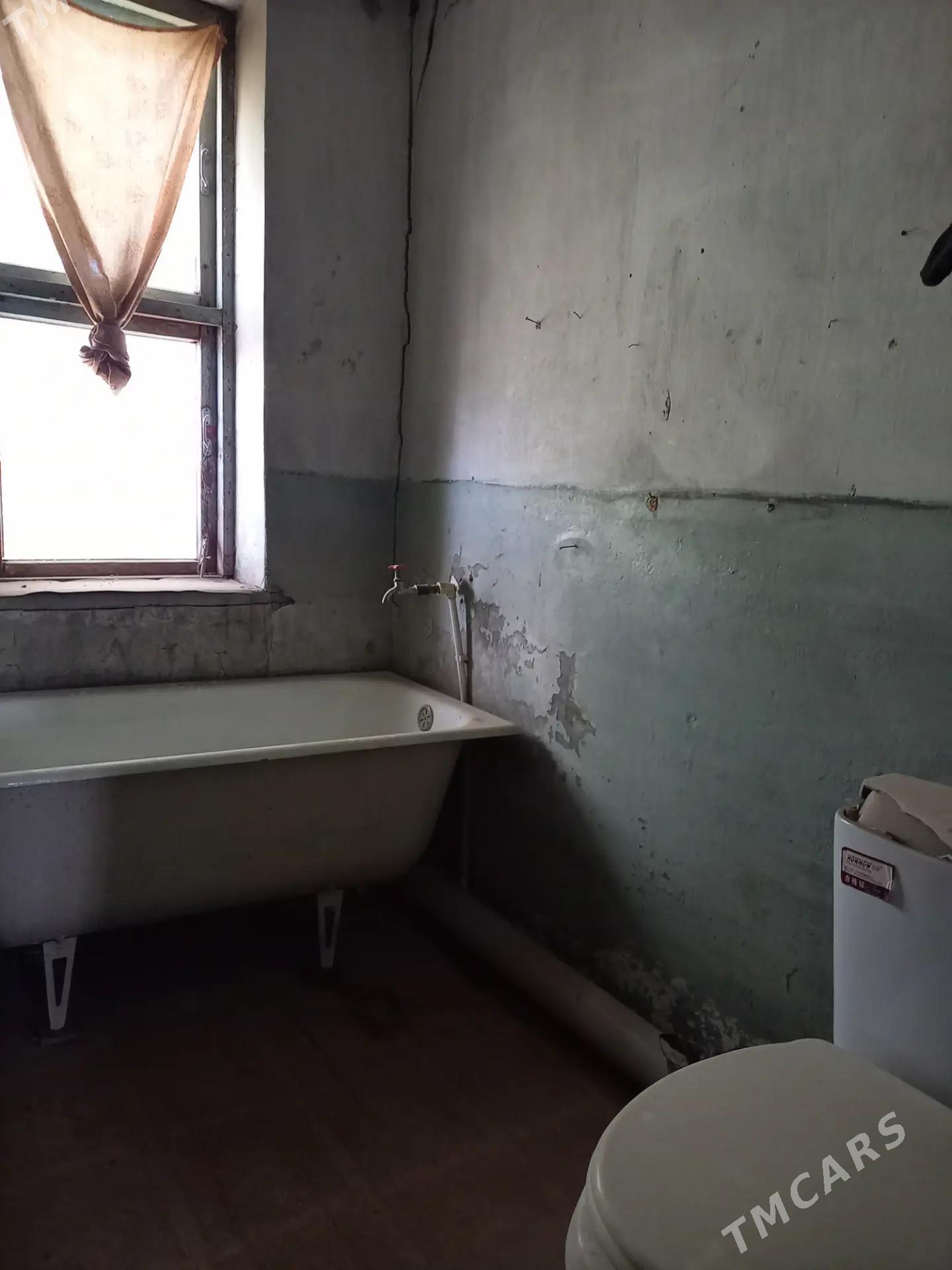 Satlyk jay - Мары - img 6