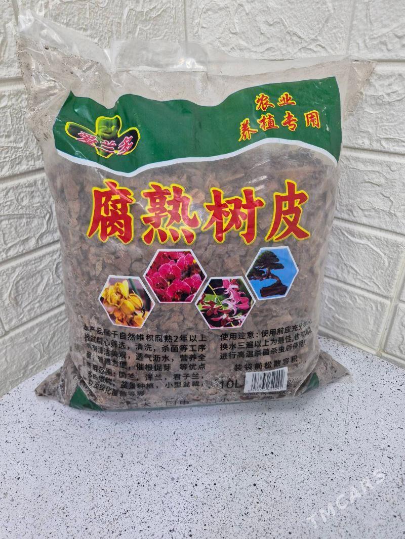 oy gulleri uçun - Ашхабад - img 1