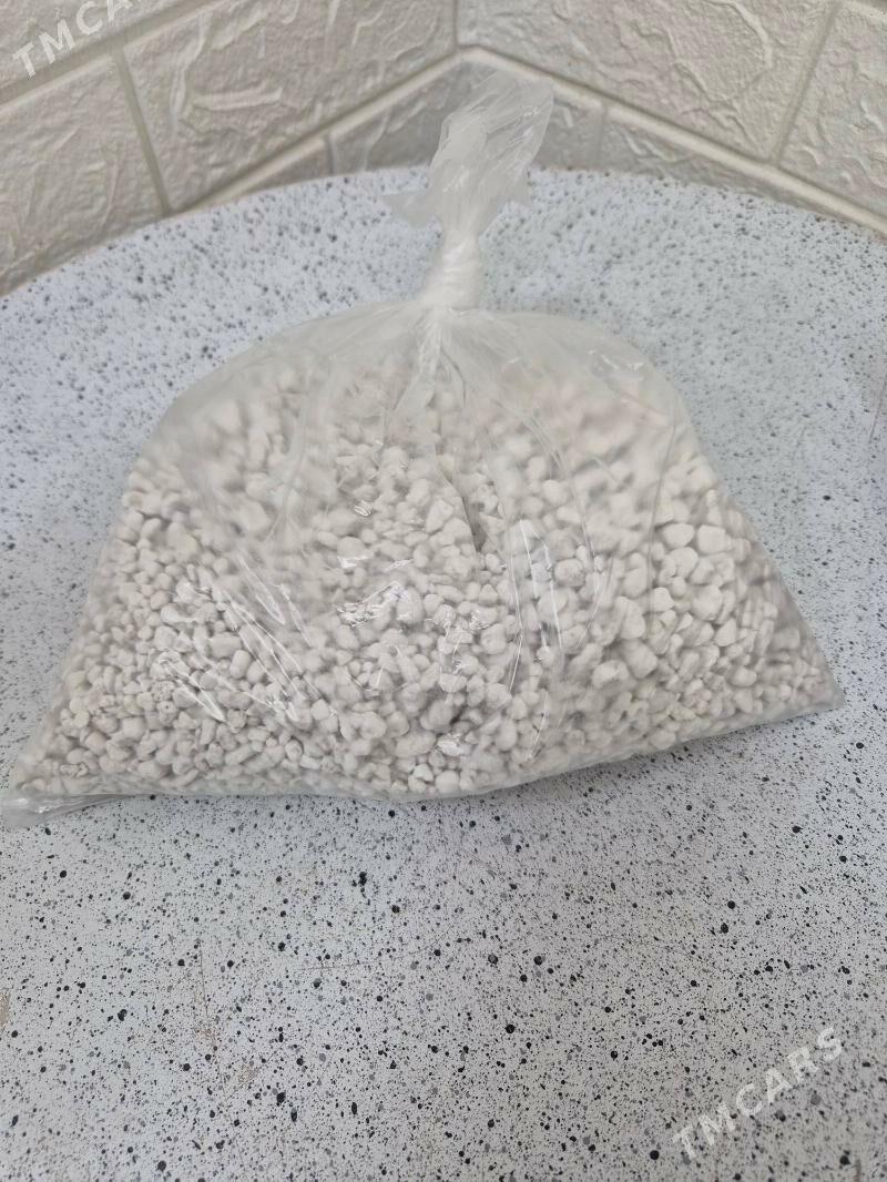 oy gulleri uçun - Ашхабад - img 4