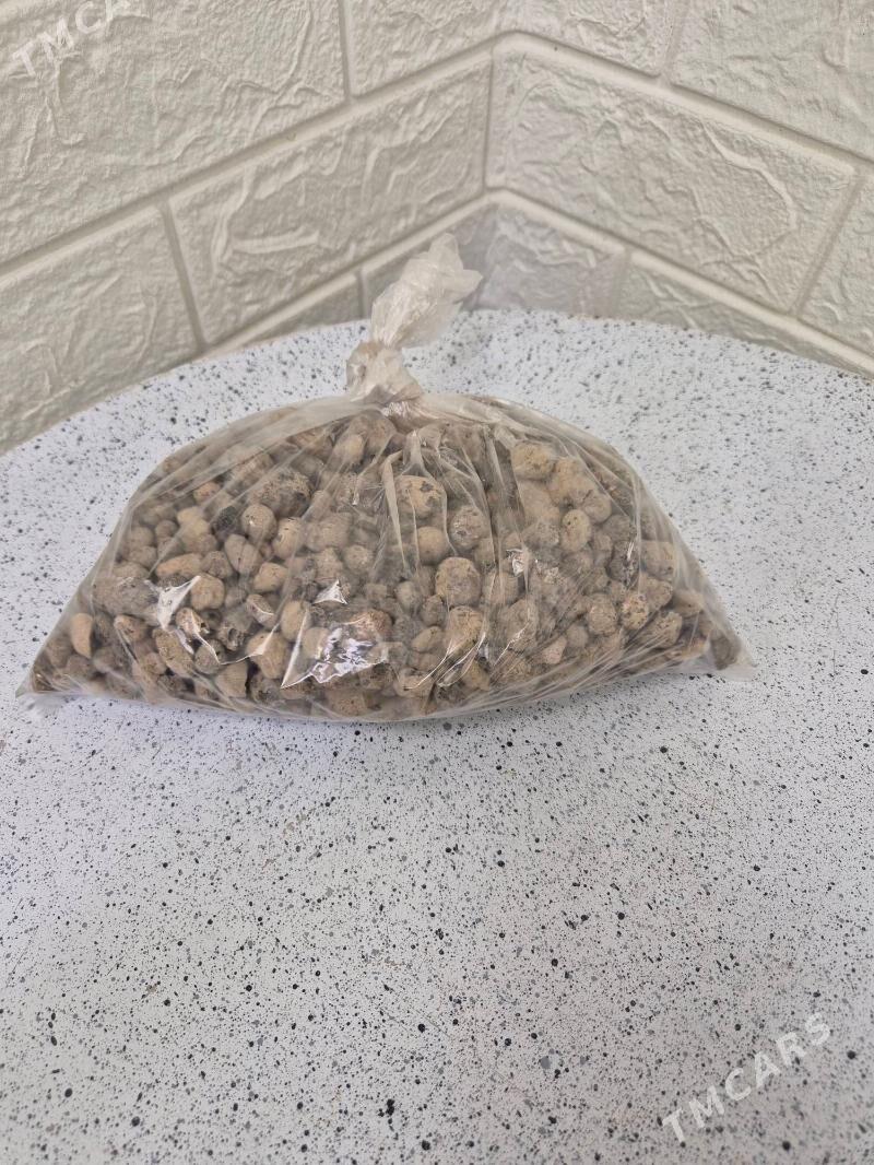 oy gulleri uçun - Ашхабад - img 7