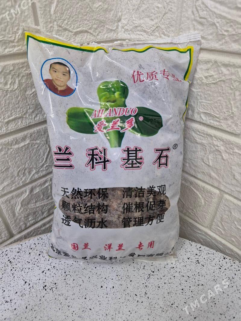 oy gulleri uçun - Ашхабад - img 2