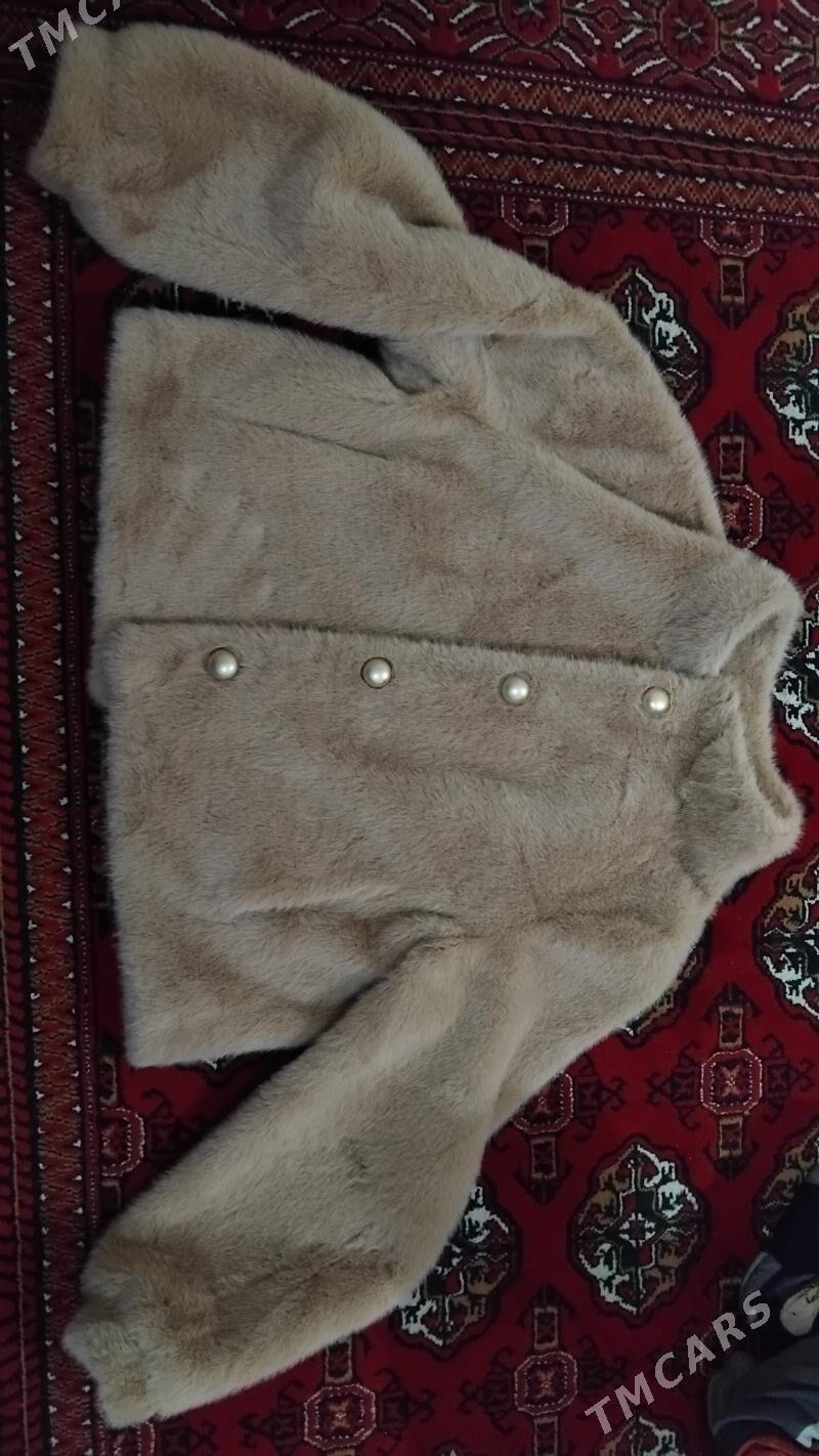 suba - Türkmenbaşy - img 2