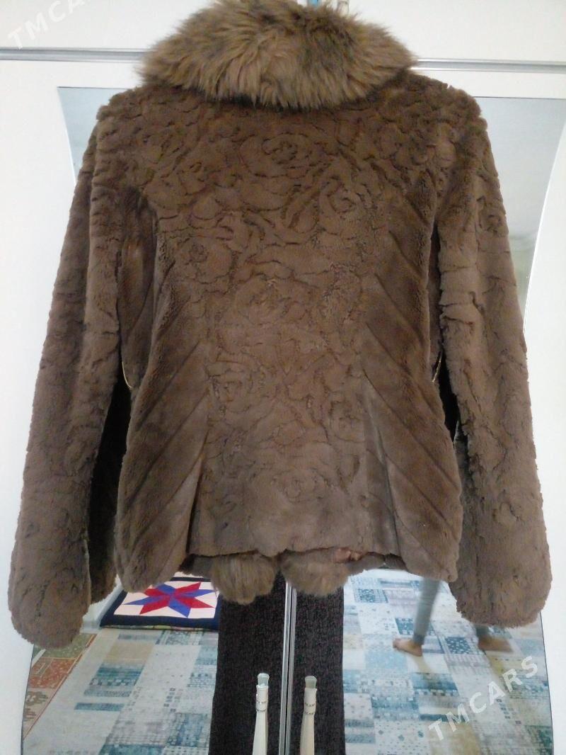 Şuba - Балканабат - img 2