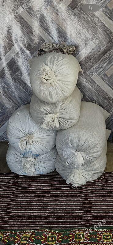 künji - Ашхабад - img 2