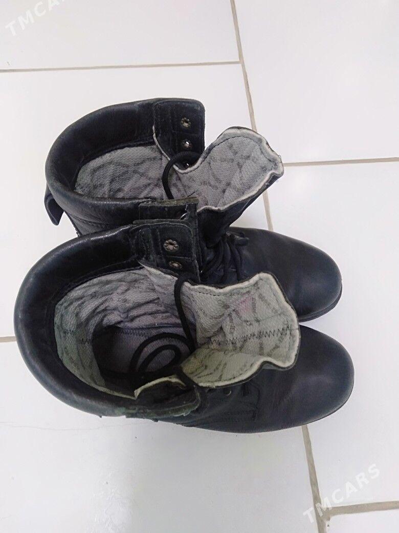 sapok adik - Kerki - img 5