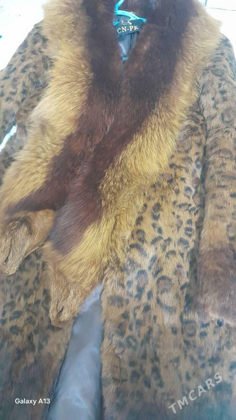 şuba - Bagyr - img 2