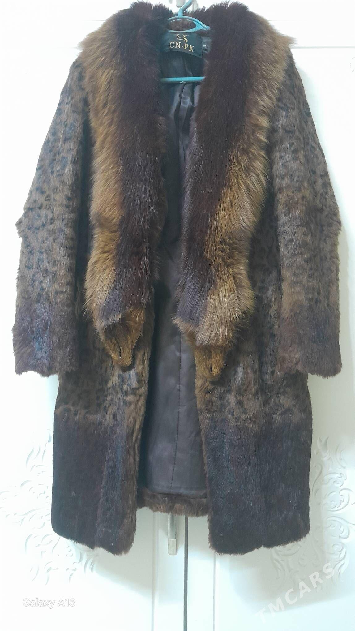 şuba - Багир - img 1