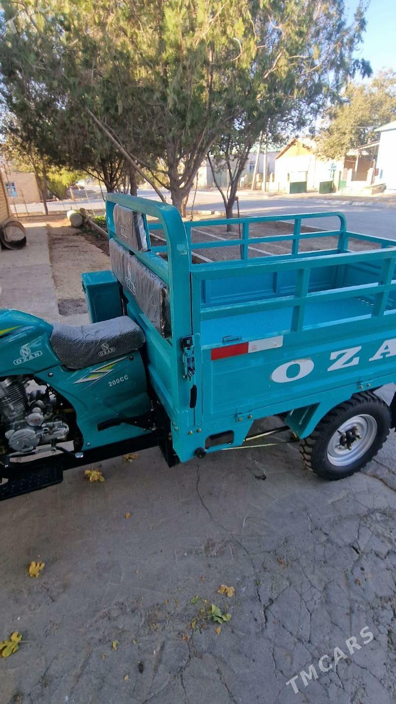 Fekon FK200-14G 2025 - 25 500 TMT - Ak bugdaý etraby - img 3