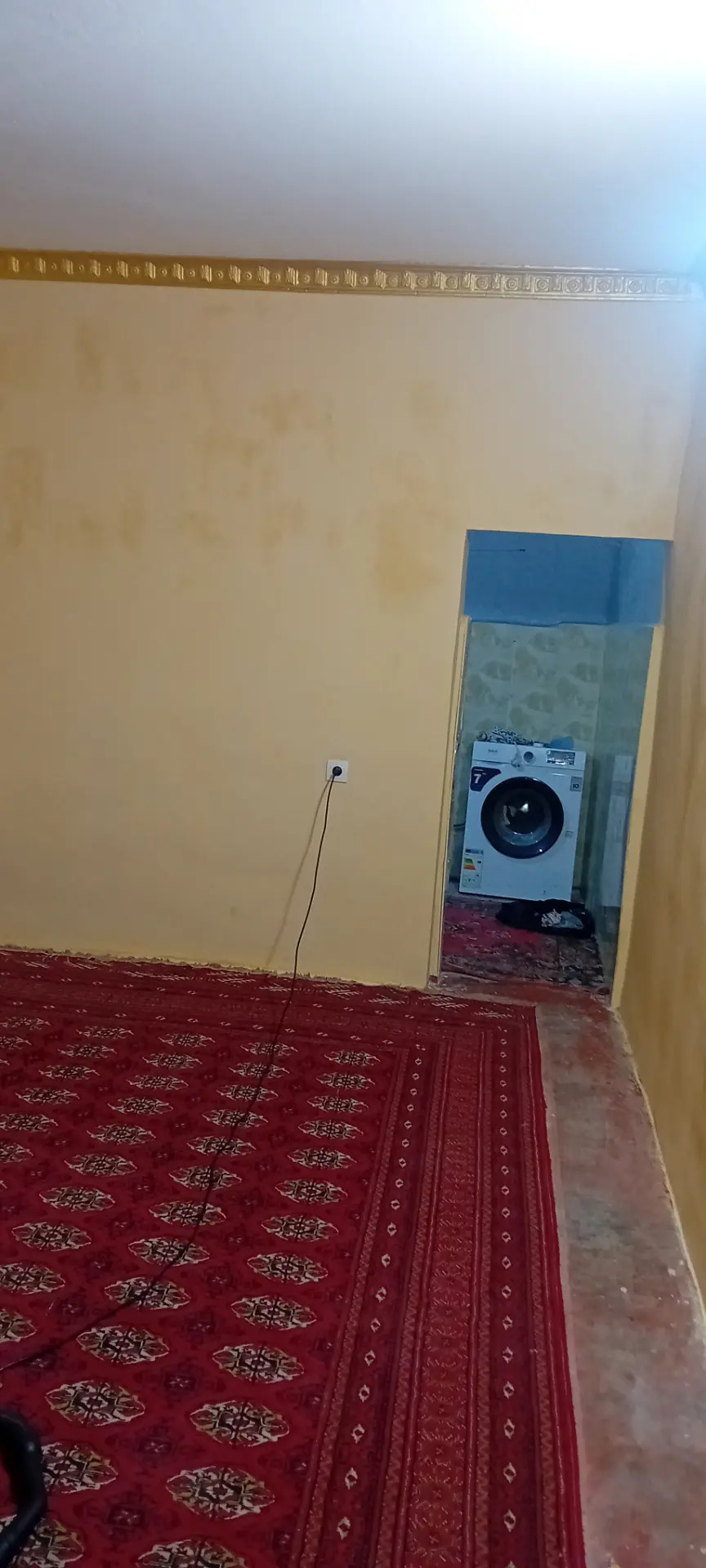 jay - Köneürgenç - img 7