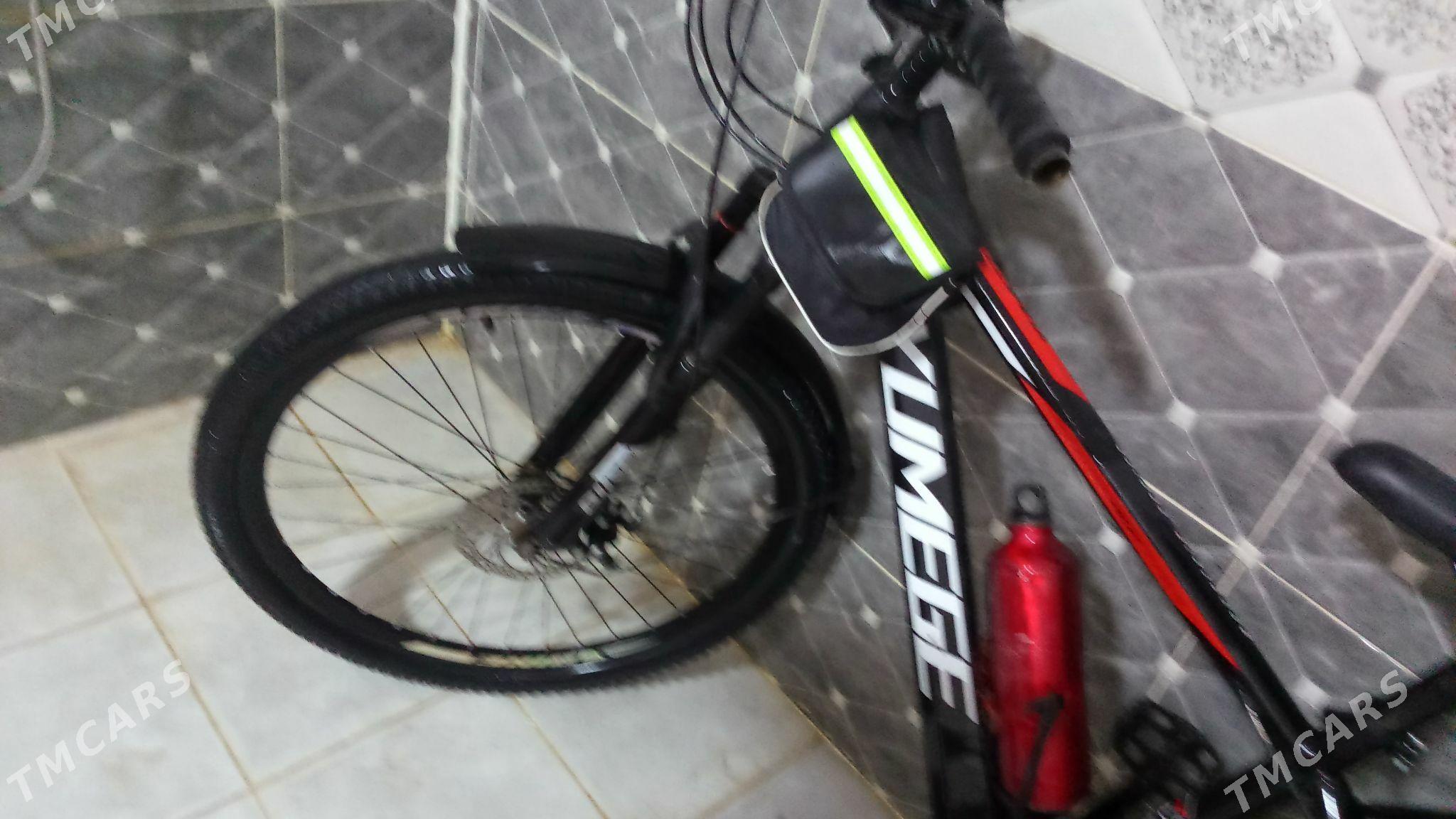 Tigir - Köneürgenç - img 5