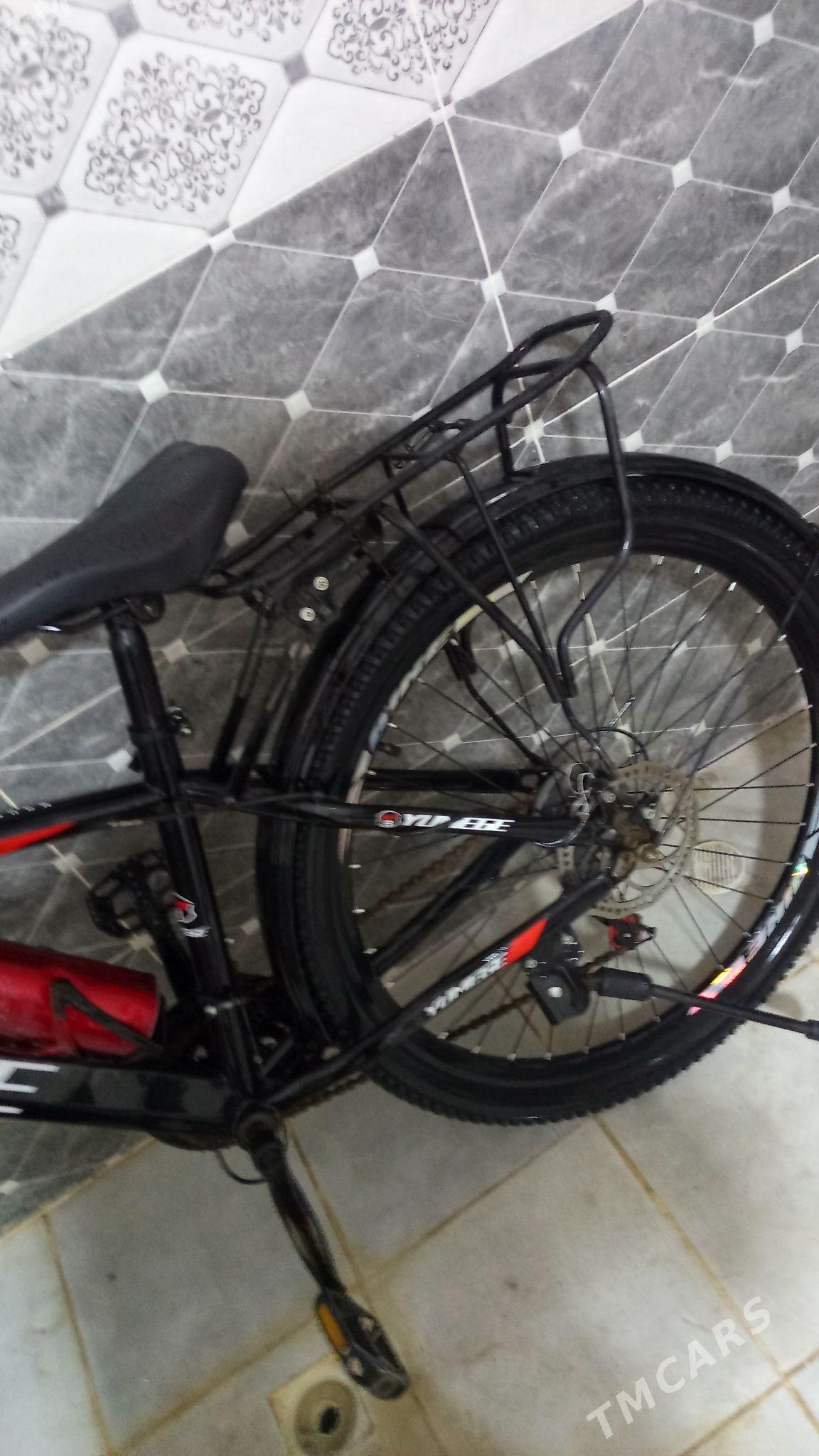 Tigir - Köneürgenç - img 3