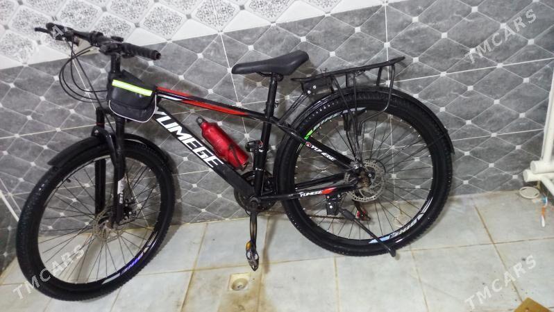 Tigir - Köneürgenç - img 2