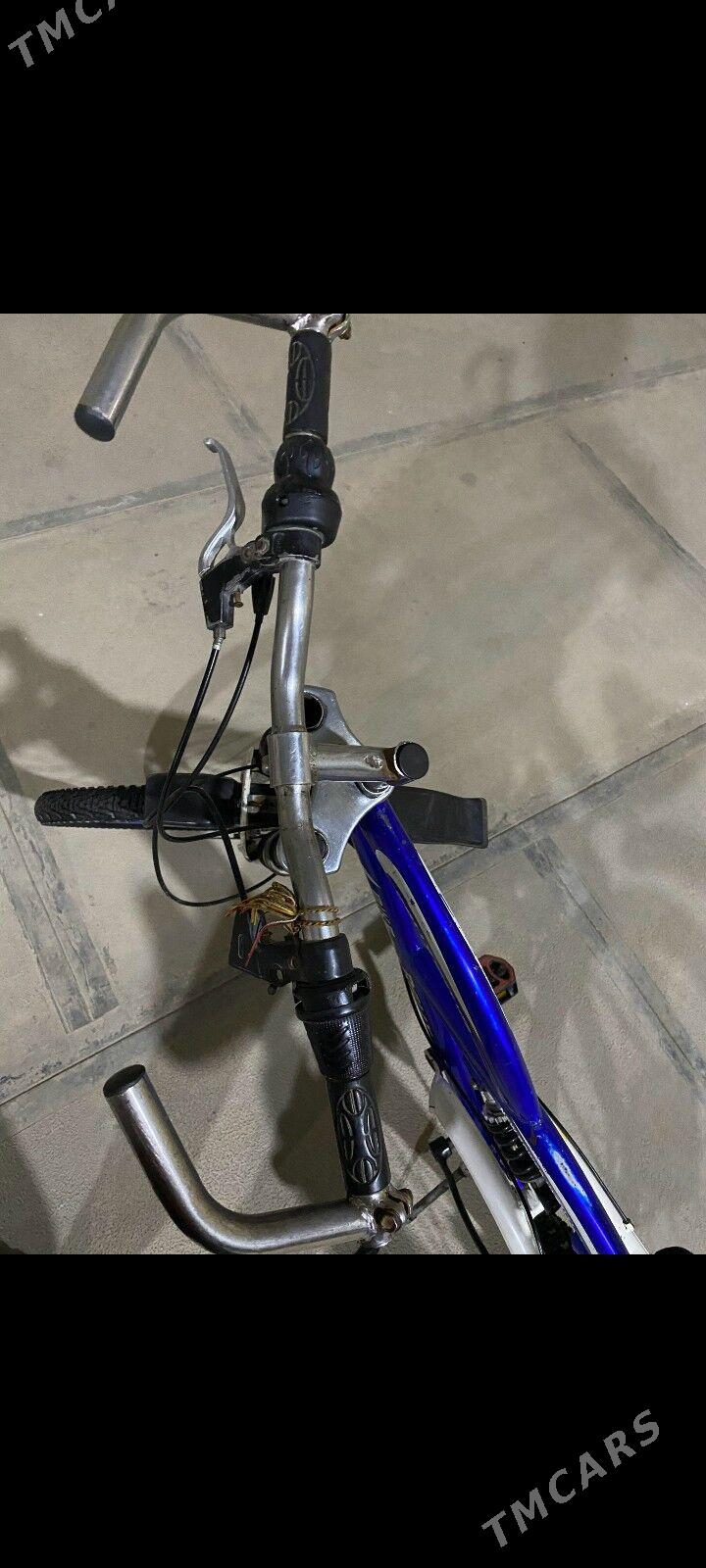 welsepet - Туркменгала - img 8