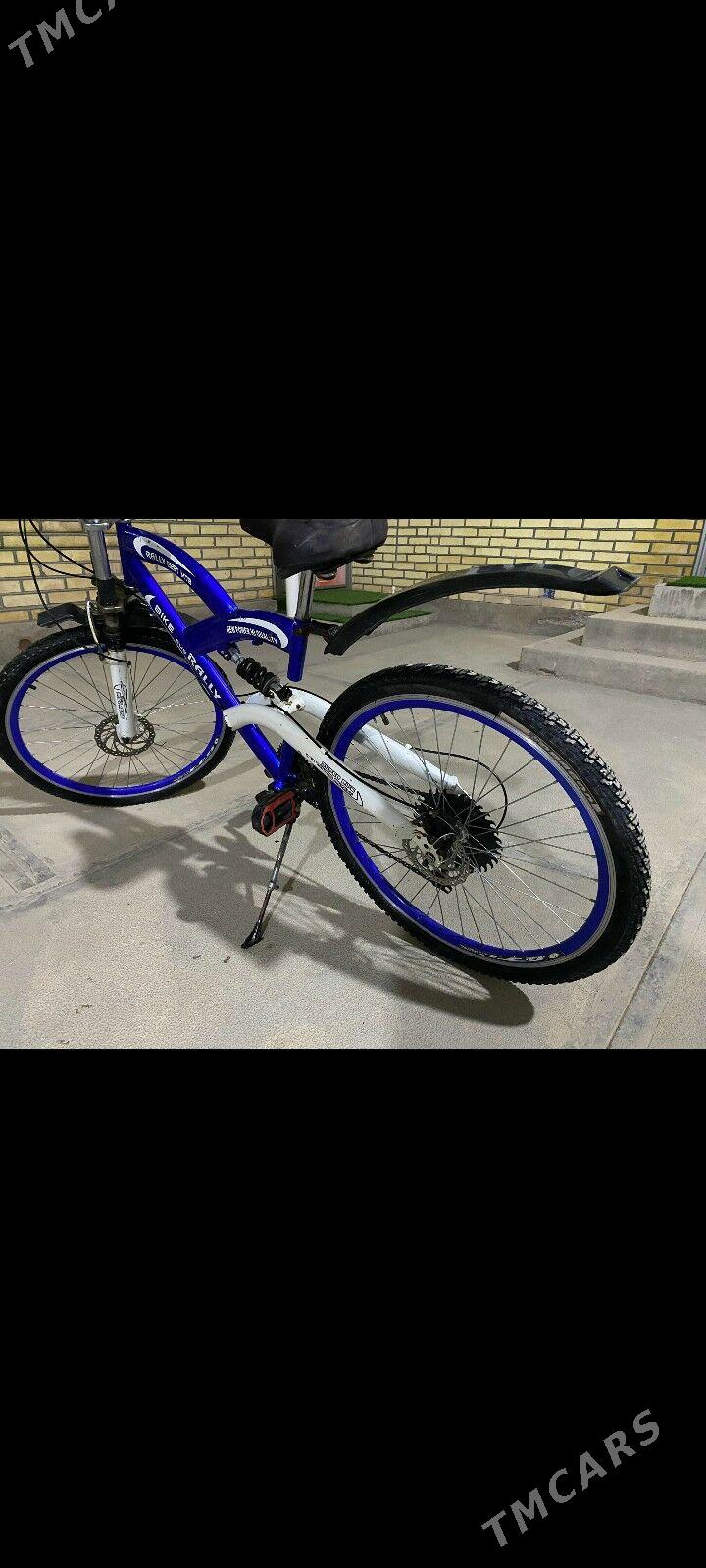 welsepet - Туркменгала - img 7