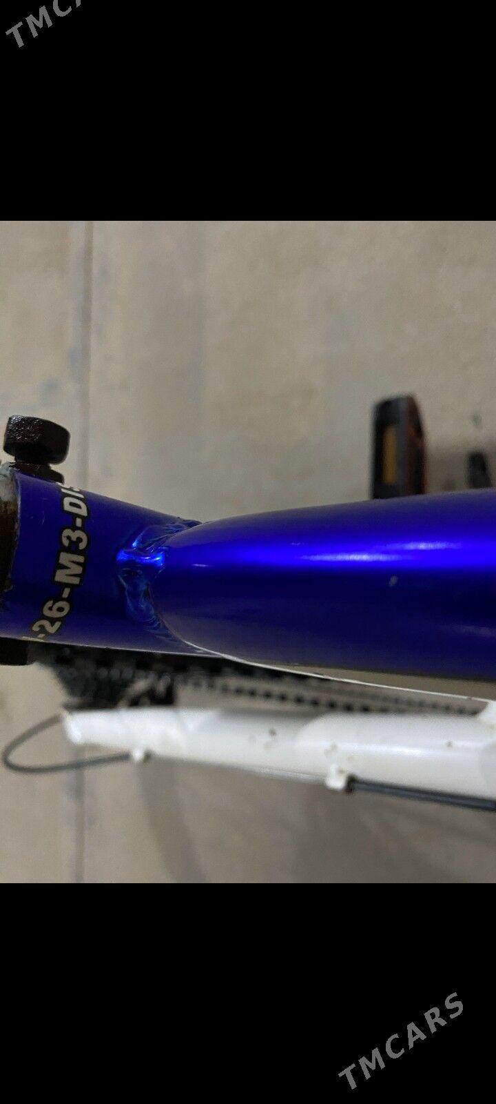 welsepet - Туркменгала - img 6