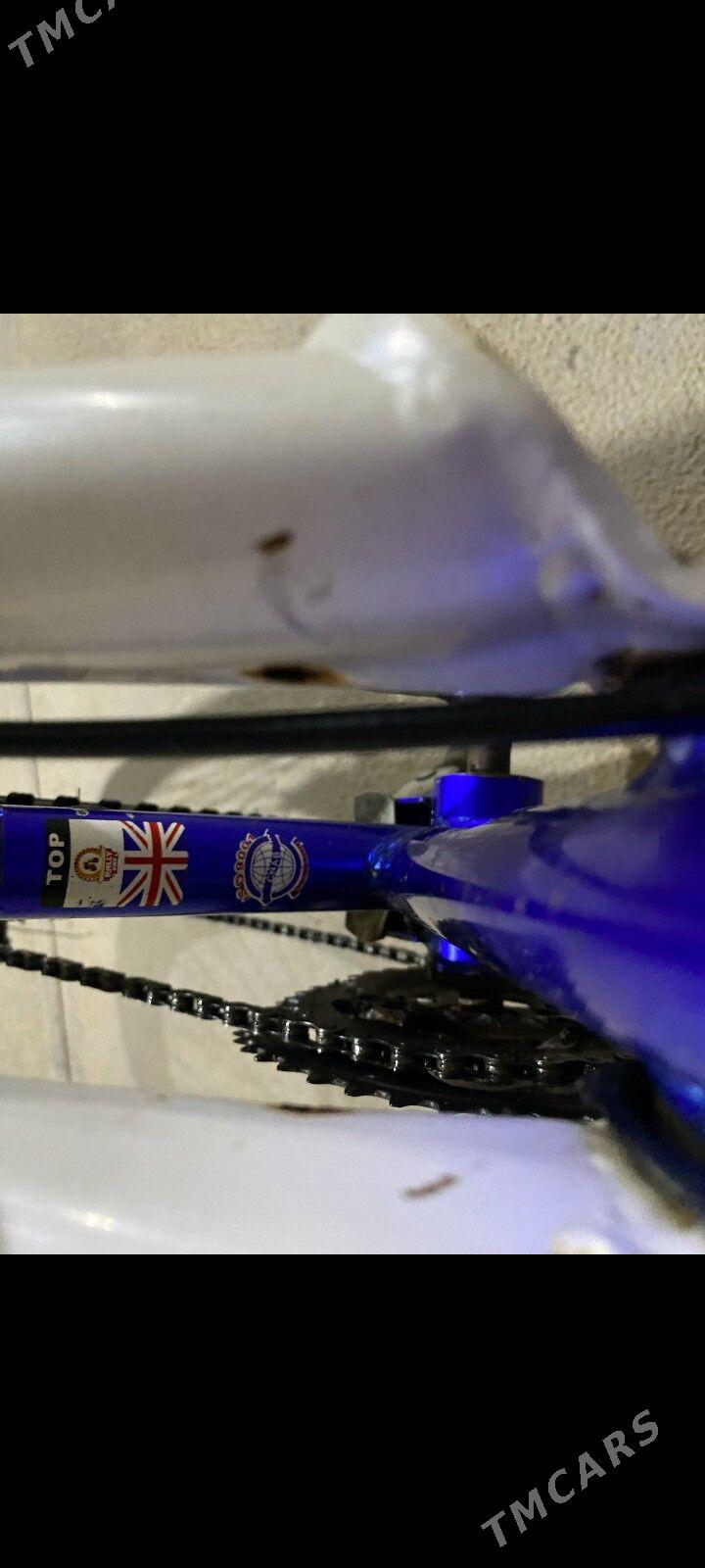 welsepet - Туркменгала - img 4