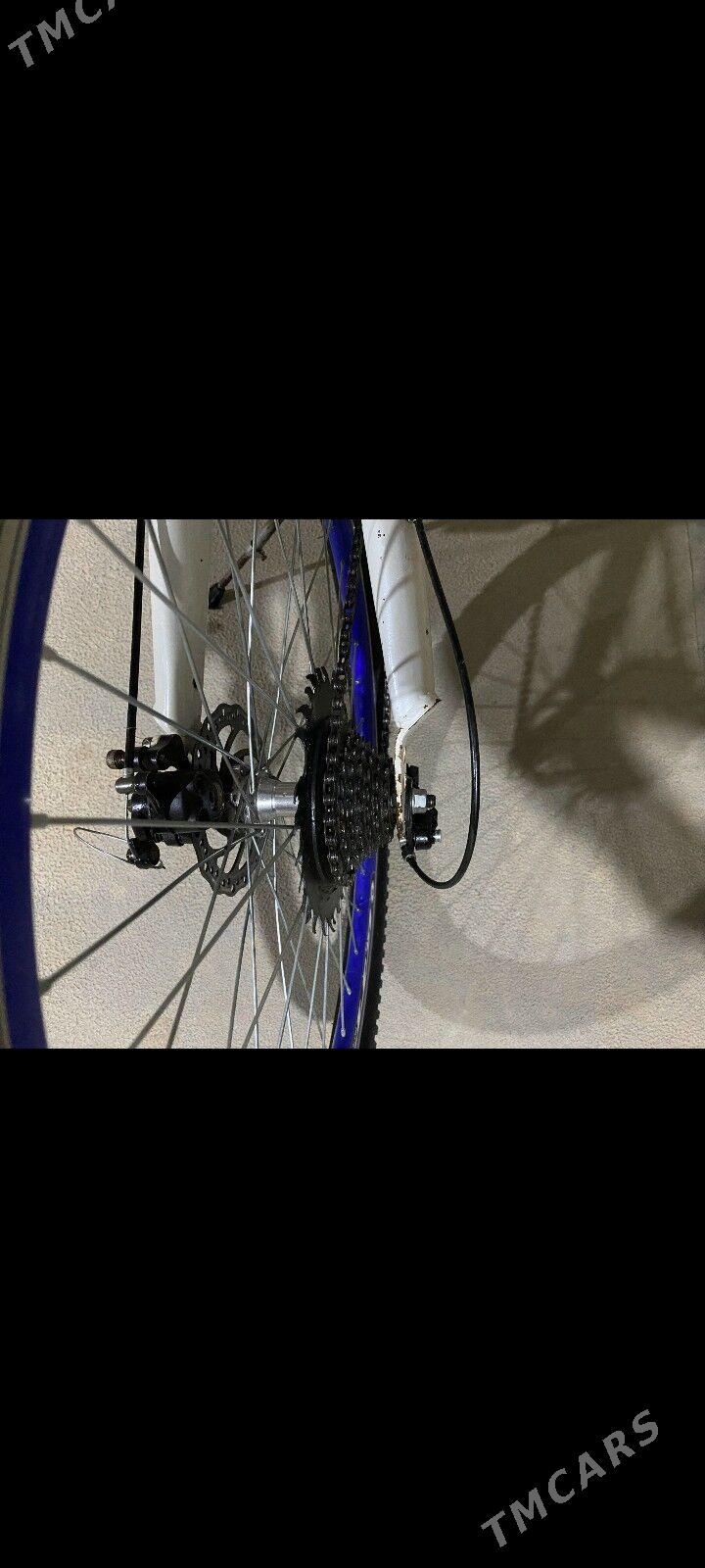 welsepet - Туркменгала - img 3