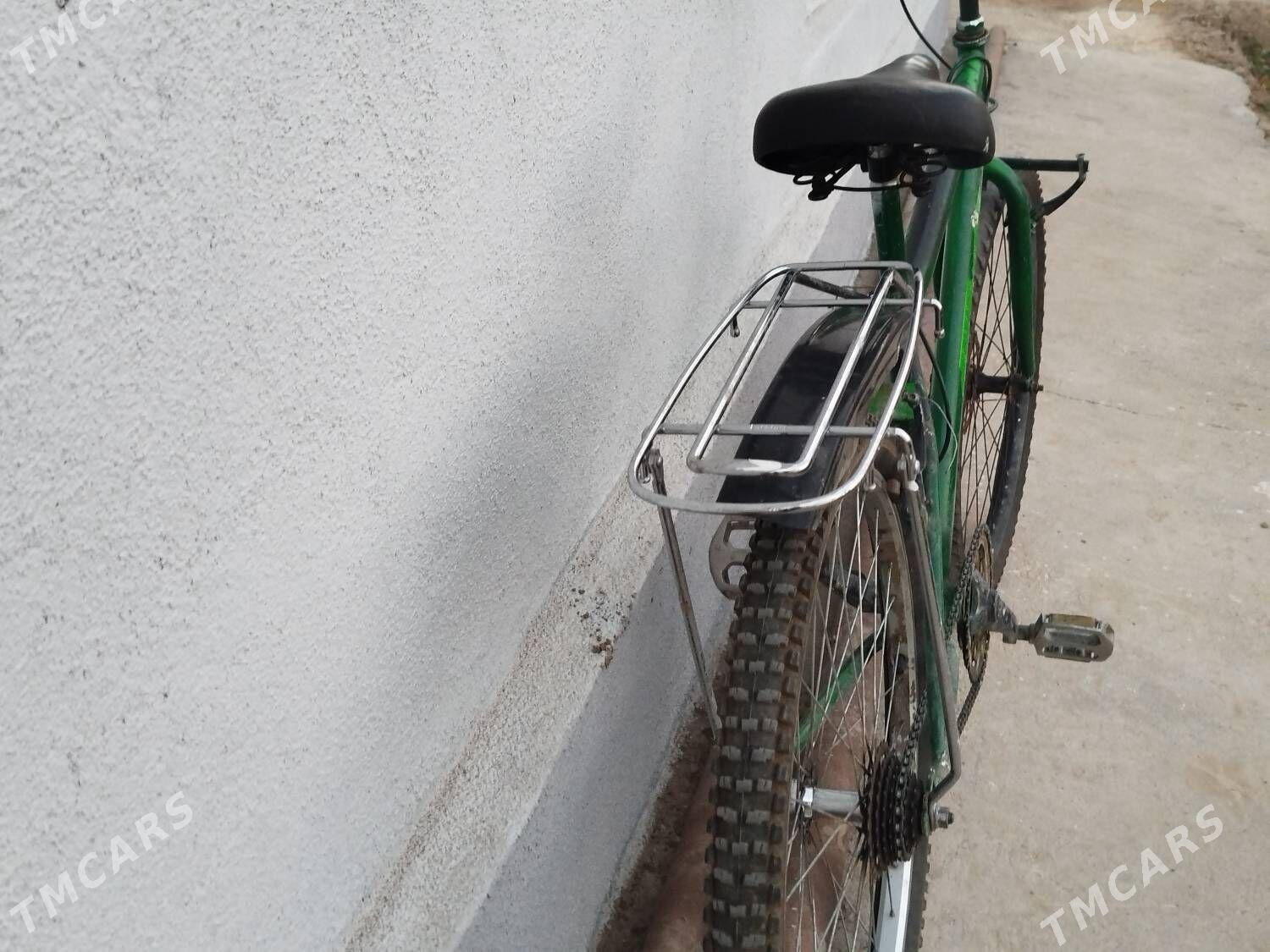 TÜRKMENİSTAN TİGİR - Gökdepe - img 2