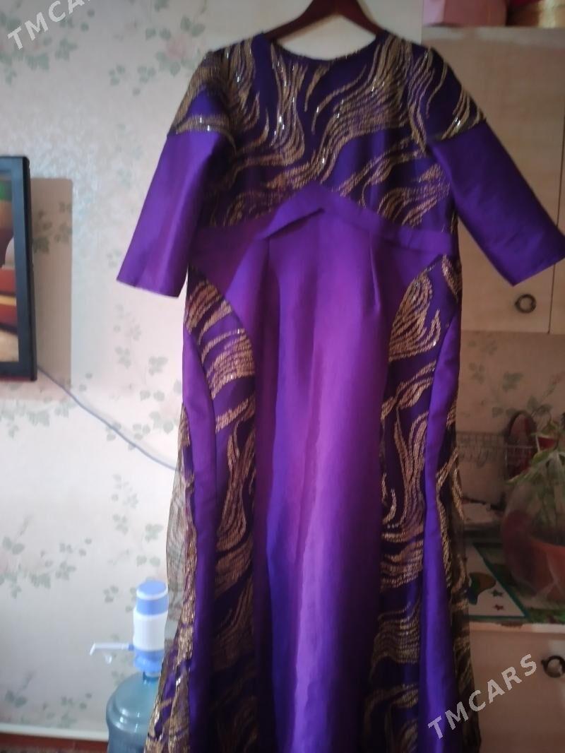 toy koynegi - Parahat 2 - img 3