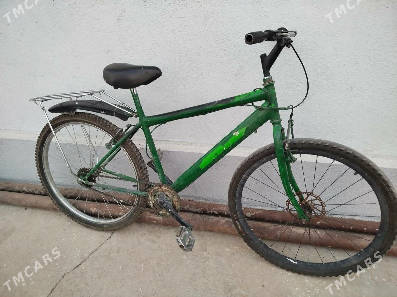 TÜRKMENİSTAN TİGİR - Gökdepe - img 3