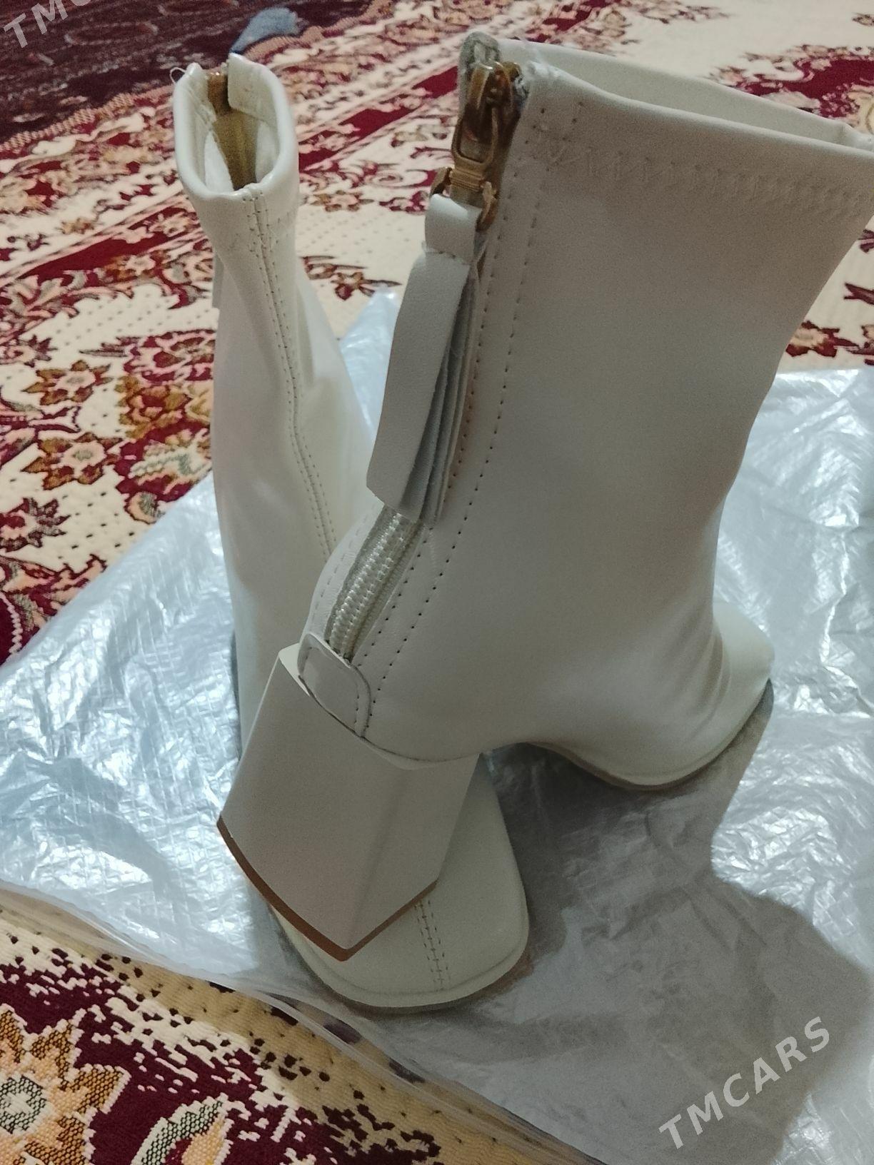 Sapocka adik - Джебел - img 2