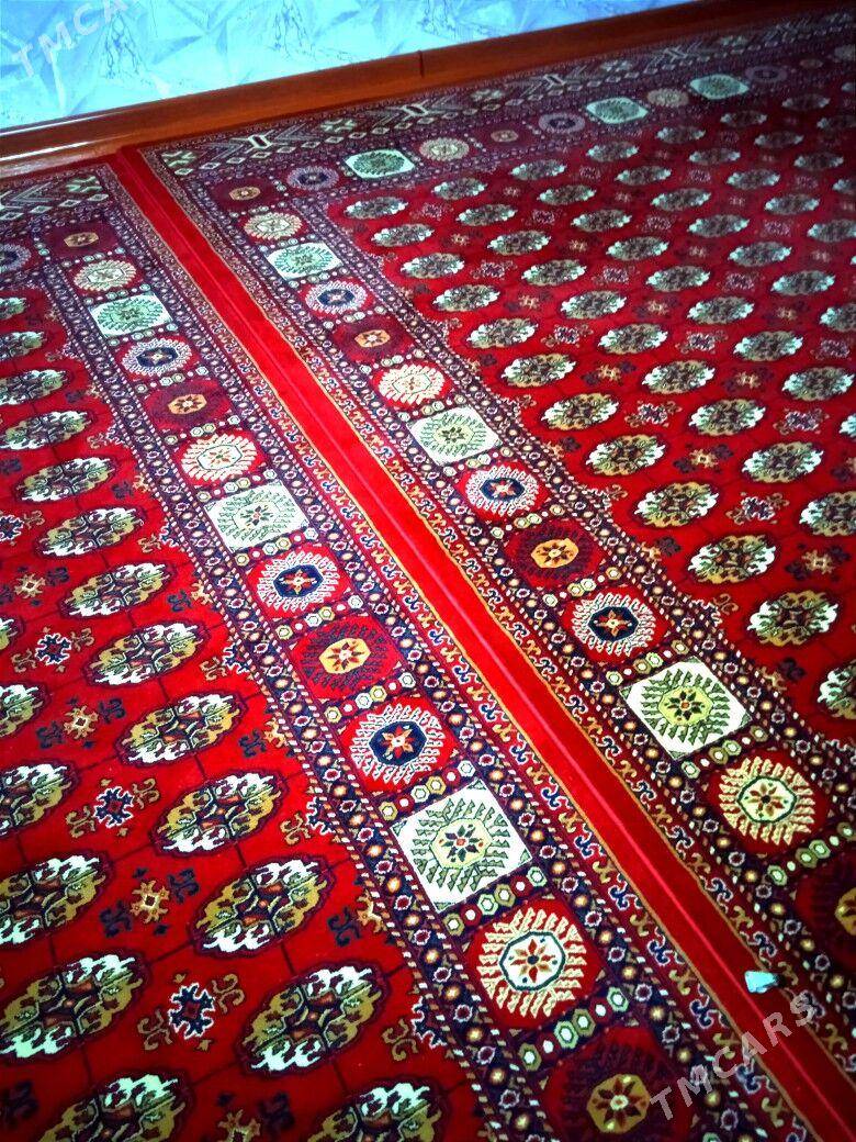 Halylar - Boldumsaz - img 1