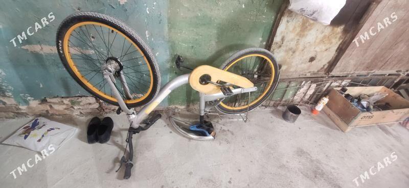 tigir - Бедев - img 2