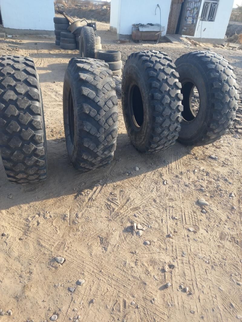 Teker 8 400 TMT - Sakarçäge - img 9