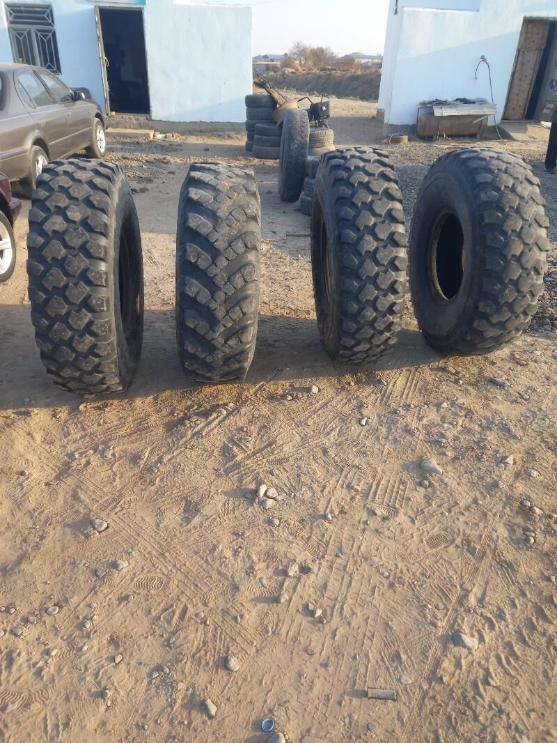 Teker 8 400 TMT - Sakarçäge - img 8