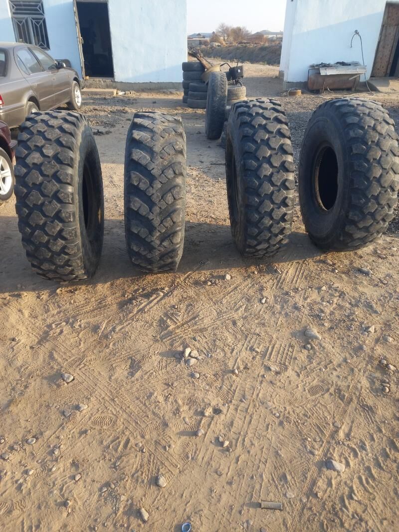 Teker 8 400 TMT - Sakarçäge - img 7