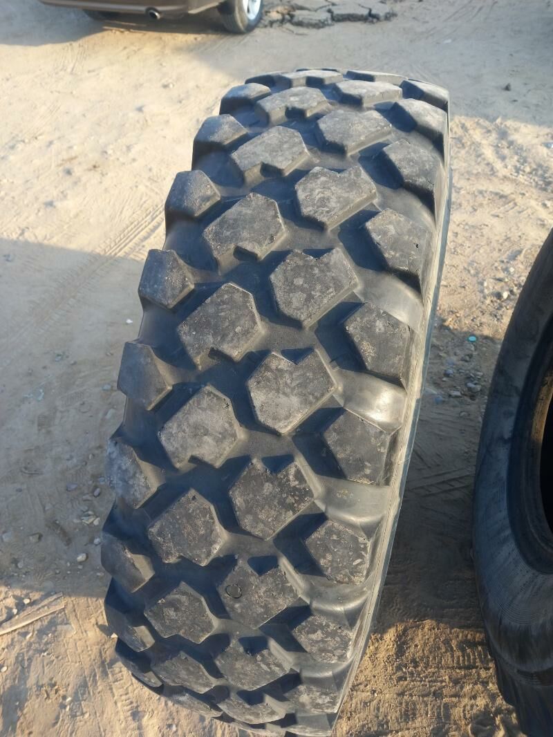 Teker 8 400 TMT - Sakarçäge - img 1