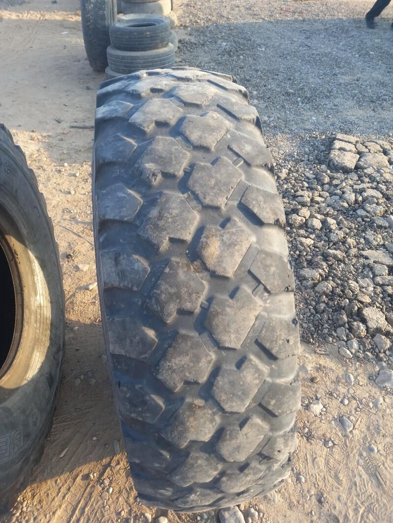 Teker 8 400 TMT - Sakarçäge - img 6