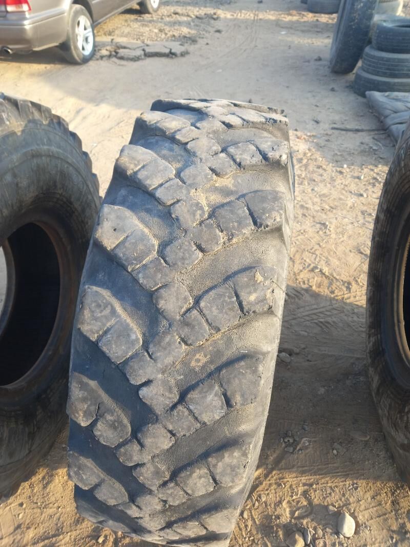 Teker 8 400 TMT - Sakarçäge - img 2