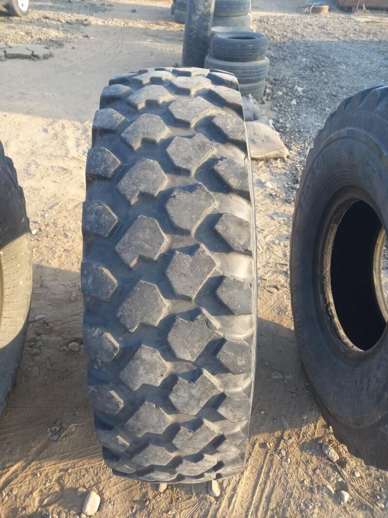 Teker 8 400 TMT - Sakarçäge - img 3