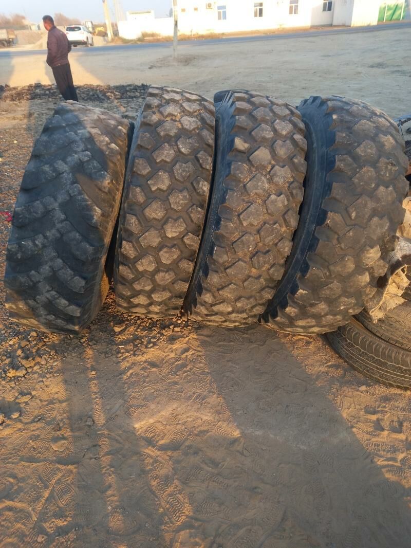 Teker 8 400 TMT - Sakarçäge - img 10