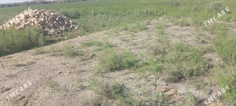 taze bazaryn arkasy mellek yer - Мары - img 8