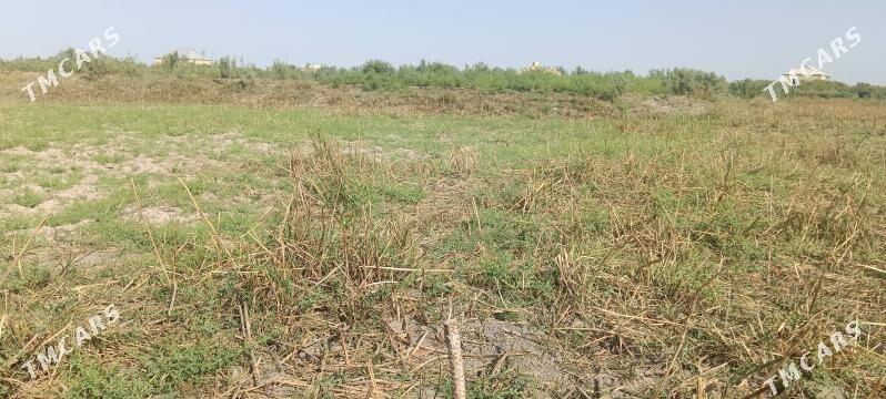 taze bazaryn arkasy mellek yer - Мары - img 3